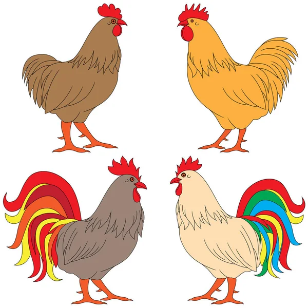 Conjunto de cuatro Gallos multicolores — Archivo Imágenes Vectoriales