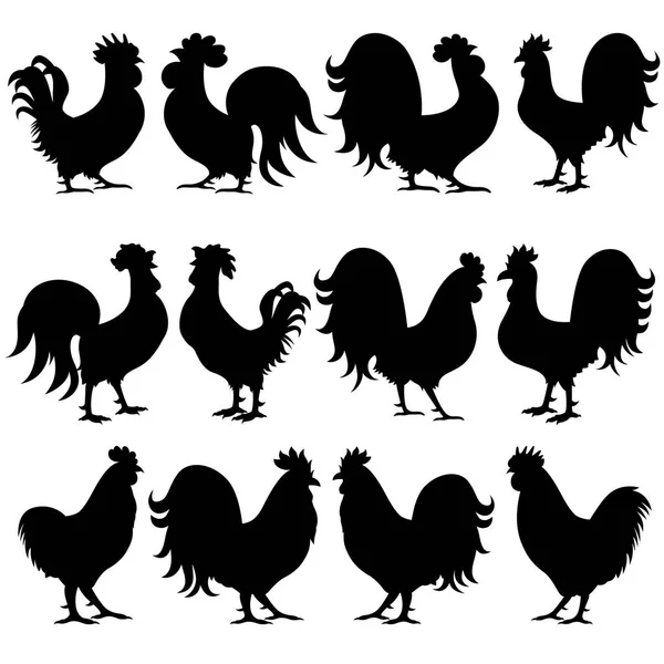 Ensemble de douze drôles de silhouettes Coq noir — Image vectorielle