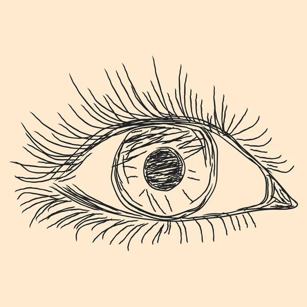 Croquis des yeux humains — Image vectorielle