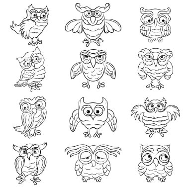 12 eğlenceli baykuş seti