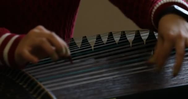 Εξάσκηση Την Κινέζικα Παραδοσιακό Κινέζικο Όργανο — Αρχείο Βίντεο