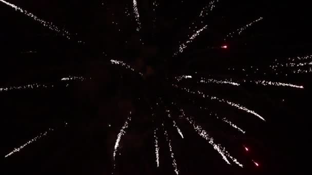 Feux d'artifice la nuit. Nouvel An 