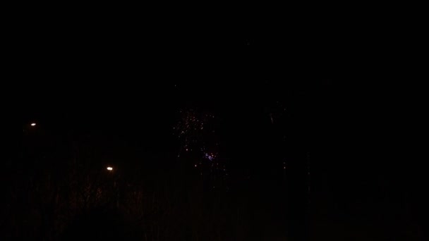 Vuurwerk Nachts Nieuwjaar — Stockvideo