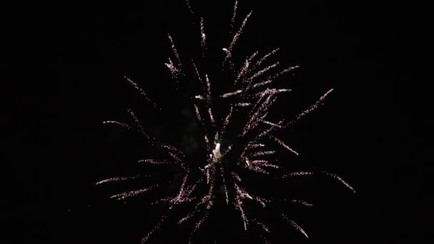 Fuegos Artificiales Por Noche Año Nuevo — Vídeo de stock