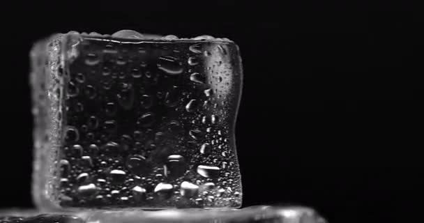 Cubos de Hielo Estéticos Negros y Blancos primer plano sobre fondo negro — Vídeo de stock