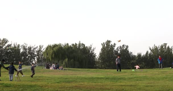 La gente se está divirtiendo al aire libre parque — Vídeos de Stock