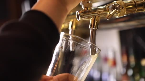 Membuka Beer Tap, menuangkan bir — Stok Video