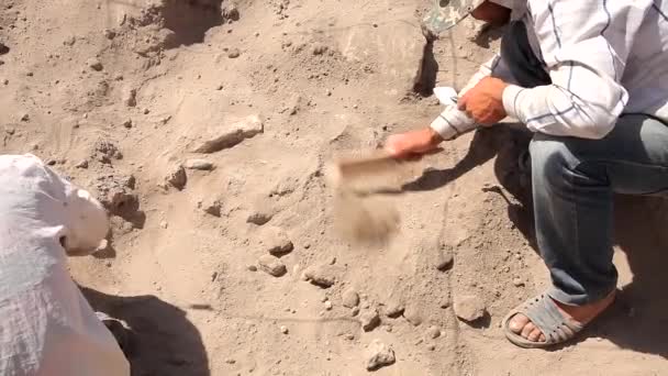 Arqueologia, sítio arqueológico, trabalhando com pincel — Vídeo de Stock