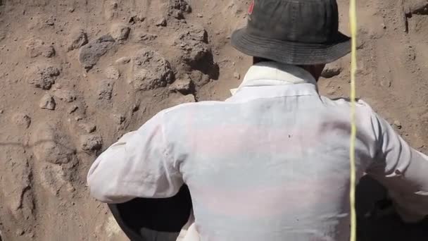 Археология, Археологические раскопки, работа с кистью — стоковое видео
