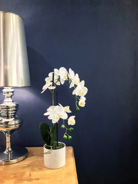 Orquídea branca elegante e lâmpada de metal — Fotografia de Stock