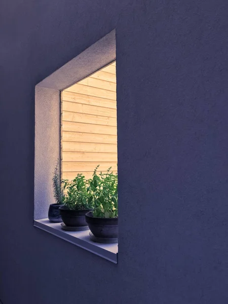 Fenster mit Topfkräutern dekoriert — Stockfoto