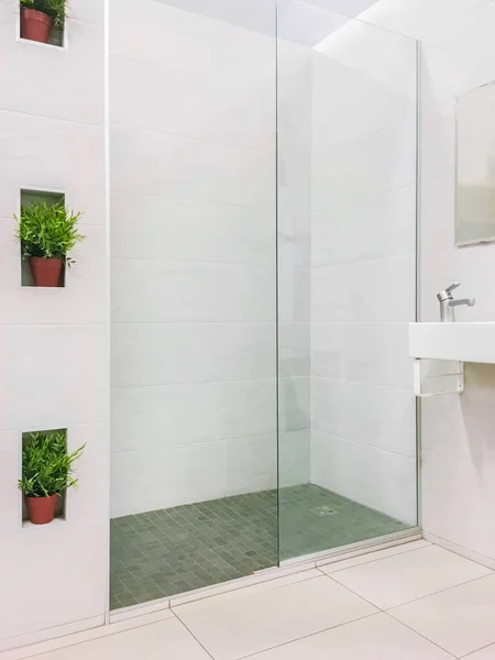 Modern renovated shower with plant decorations — Stockfoto