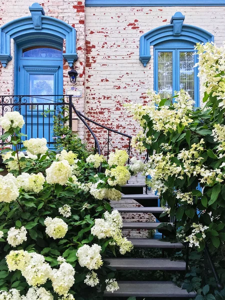 Weiße Gardenien schmücken Fassade eines malerischen Stadthauses — Stockfoto