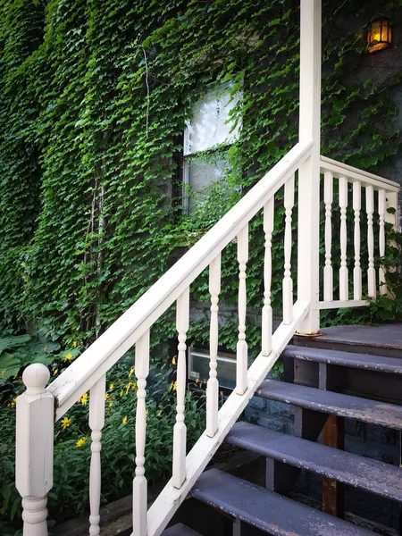 Eski bir ev girişi ile yeşil sarmaşık kaplı — Stok fotoğraf