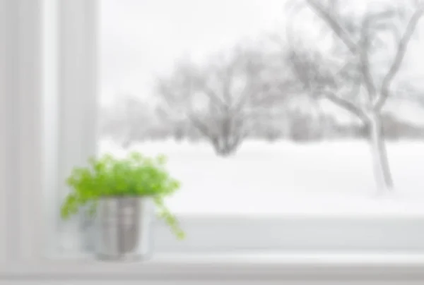 Defokussiertes Bild einer grünen Pflanze auf der Fensterbank — Stockfoto