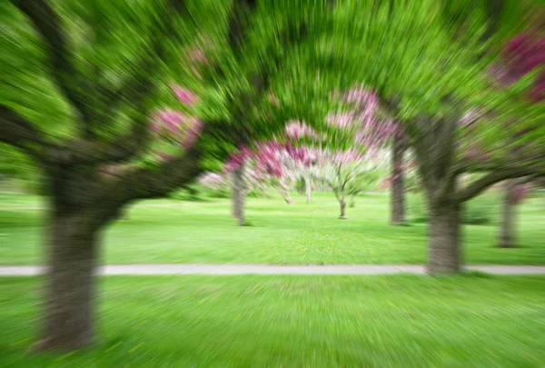 Επίδραση θόλωμα της εικόνας του ένα πάρκο άνοιξη με μια κίνηση — Φωτογραφία Αρχείου