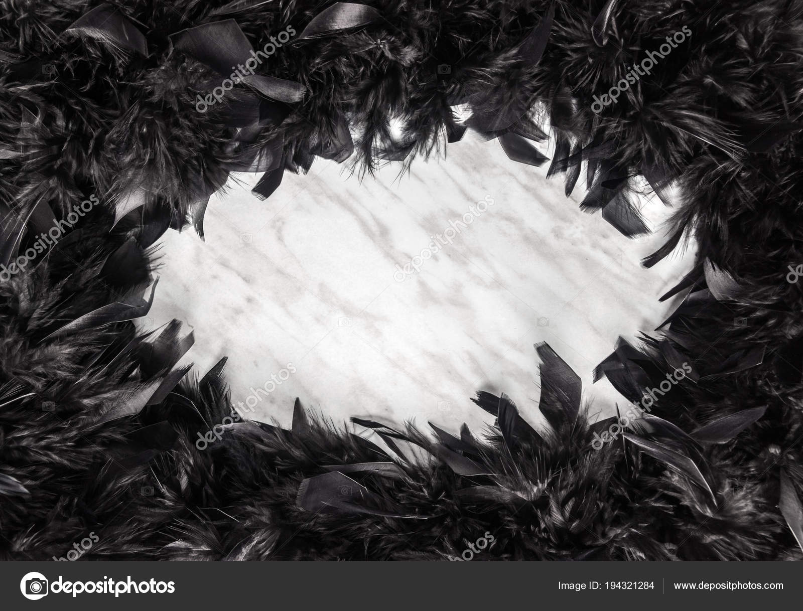 大理石の背景に黒い羽フレーム ストック写真 C Studiolightandshade