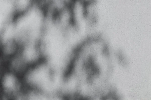 Sombra de ramas de árboles en la pared gris —  Fotos de Stock