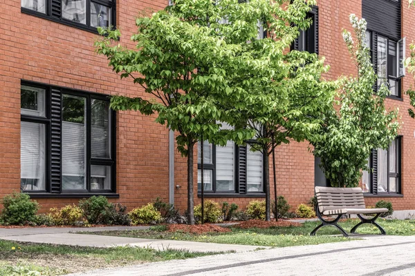 Arbres Verts Devant Immeuble Résidentiel Brique Quartier Moderne Printemps — Photo