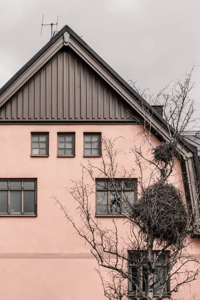 Huge bird nest in front of a pink house in a European town.