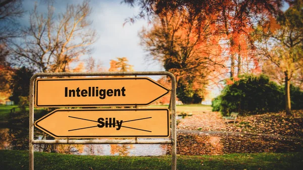 Inteligentní pouliční Sign versus hloupé — Stock fotografie