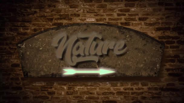 Street Sign Way Nature — Stock video