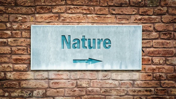 Straßenschild Weist Den Weg Die Natur — Stockfoto