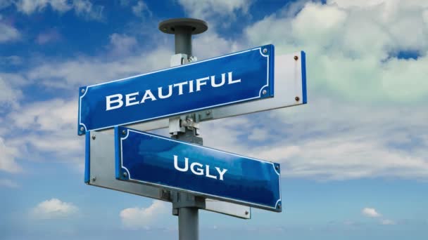 Street Sign Way Beautiful Ugly — Stockvideo