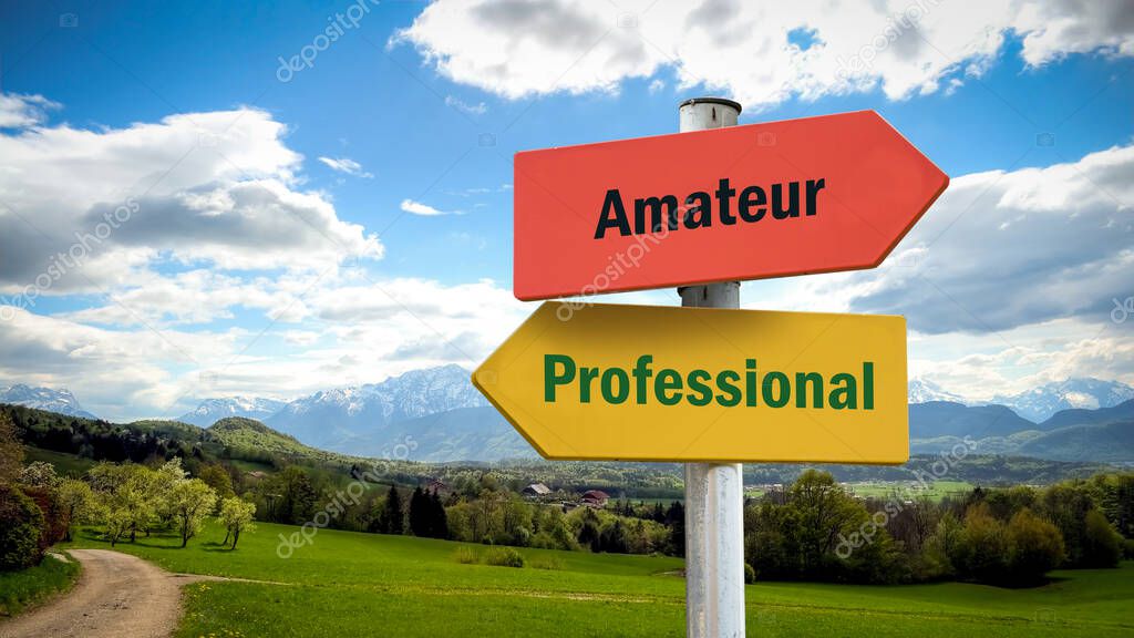 Street Sign the Direction Way to Professional versus Amateur