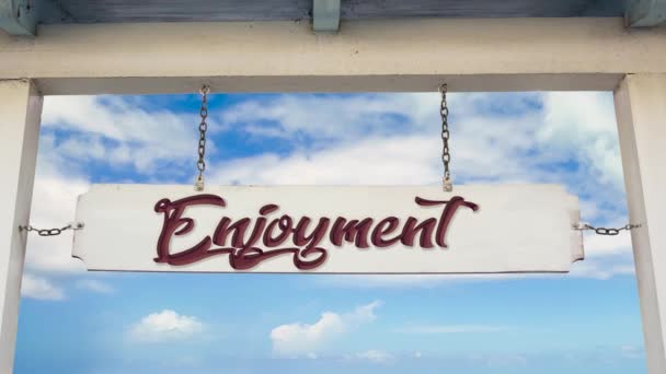 Street Sign Way Enjoyment — Stock Video