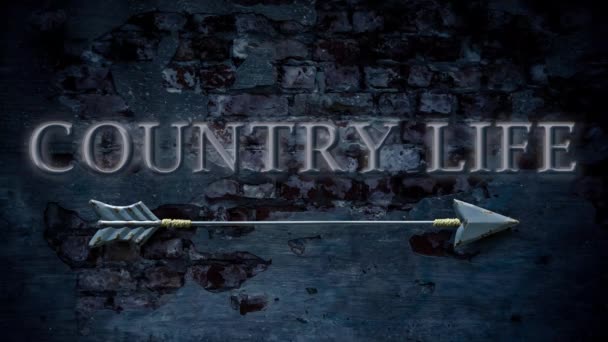 Street Sign Way Country Life — Stock Video