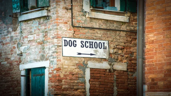 Sokak Şareti Köpek Okulu Için Yön Yolu — Stok fotoğraf