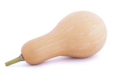 Butternut kabak beyaz zemin üzerine