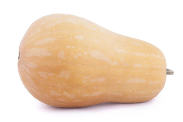 Butternut kabak beyaz zemin üzerine