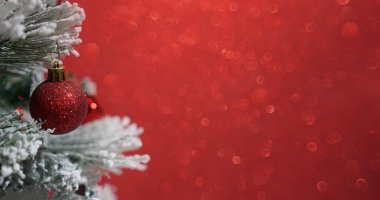 Mücevherlerle ve bulanık ışıklarla dolu Noel ağacı.