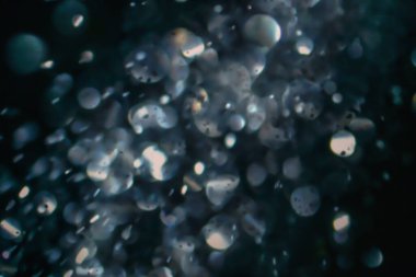 Göz kırpan kristal parıltısı sönmüş ışık.