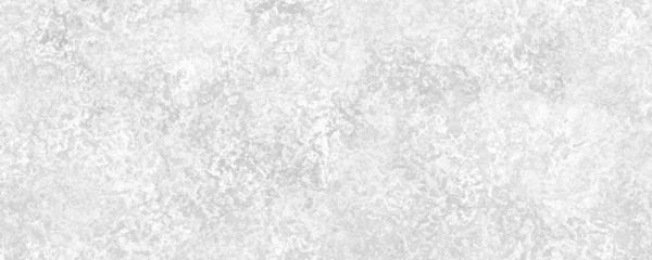 Panoramik Siyah Beyaz Tek Renkli Arkaplan — Stok fotoğraf