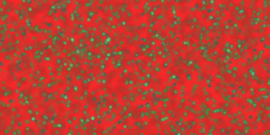 Bulanık bokeh hafif Noel arkaplanı.