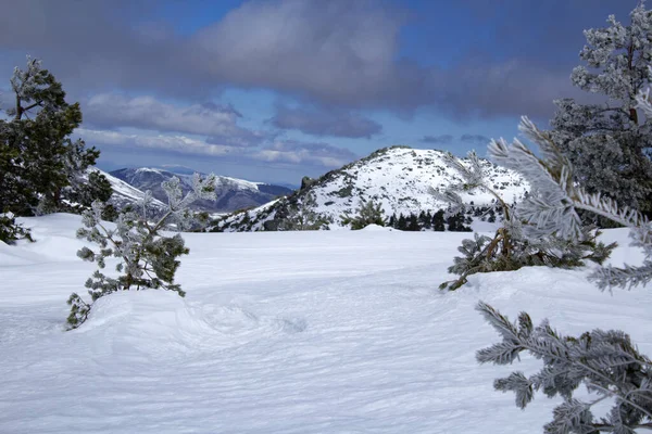 Дивовижний Сніговий Зимовий Пейзаж Свіжим Снігом Горизонтальний Вигляд Яскраві Тони — стокове фото