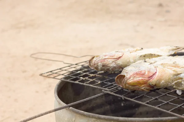 Риба на грилі на плиті — стокове фото