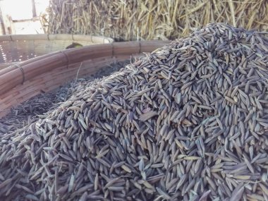 Pirinç tohumu kaplarda