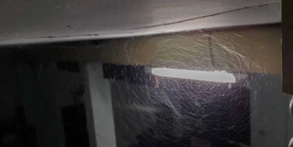Örümcek ağları bir arka ışık ile — Stok fotoğraf