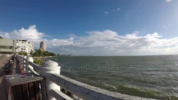 Os macacos comem mangas com o delicioso no lixo e observam os outros macacos para levar comida perto da praia. (voltas no tempo ) — Vídeo de Stock