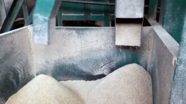 Pirinç değirmenleri çalışıyoruz.