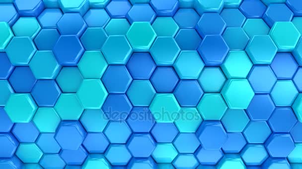 Animerade Honeycombs ändrar färg — Stockvideo