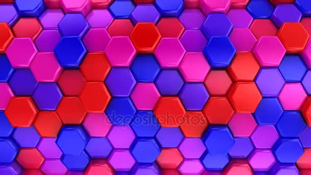 Animated Honeycombs Changes Color — Stock Video