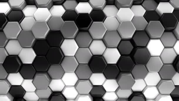 Geanimeerde Honeycombs wijzigingen kleur — Stockvideo