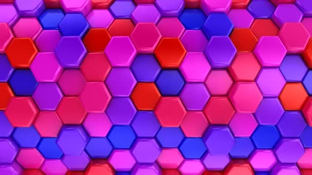 Geanimeerde gekleurde zeshoeken — Stockvideo