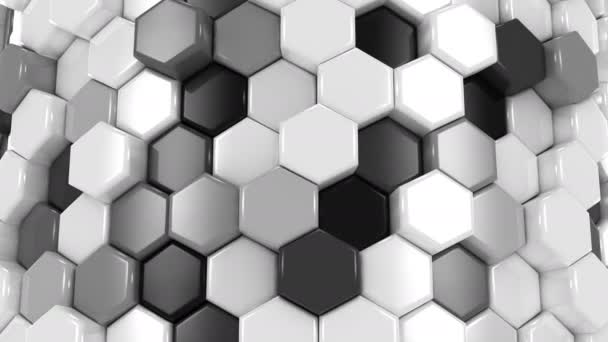 Hexagones animados, Loop — Vídeos de Stock