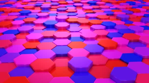 Geanimeerde gekleurde zeshoeken — Stockvideo